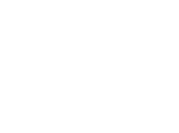 Talon-LogoN